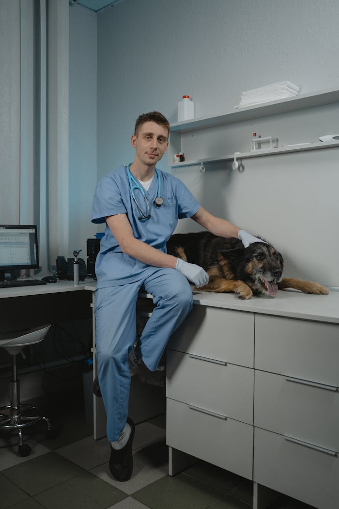 services-03 Veterinarian in scrubs examines a dog in a clean clinic environment.