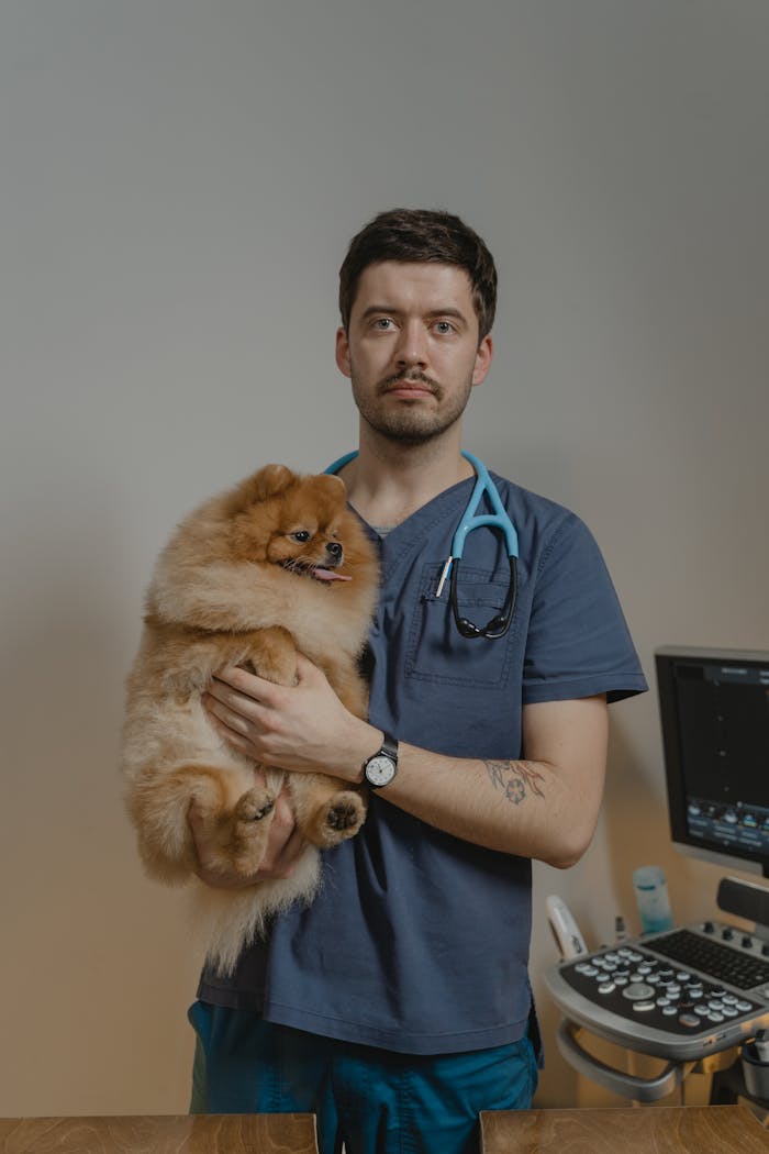 gallery-01 Male veterinarian in scrubs holds a fluffy Pomeranian dog indoors, displaying a caring bond with pets.
